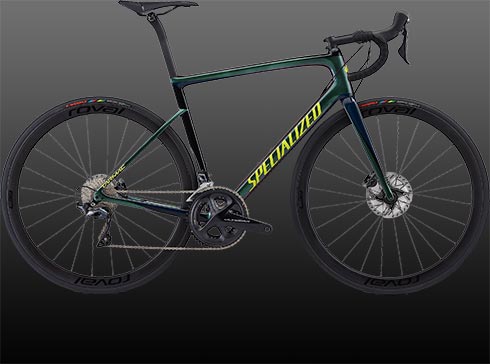 specialized expert disc 2019